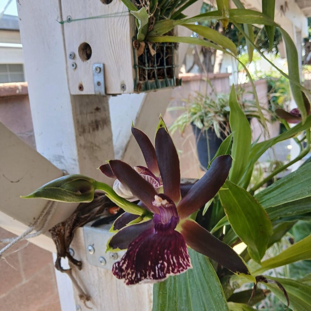 And the smell is DIVINE