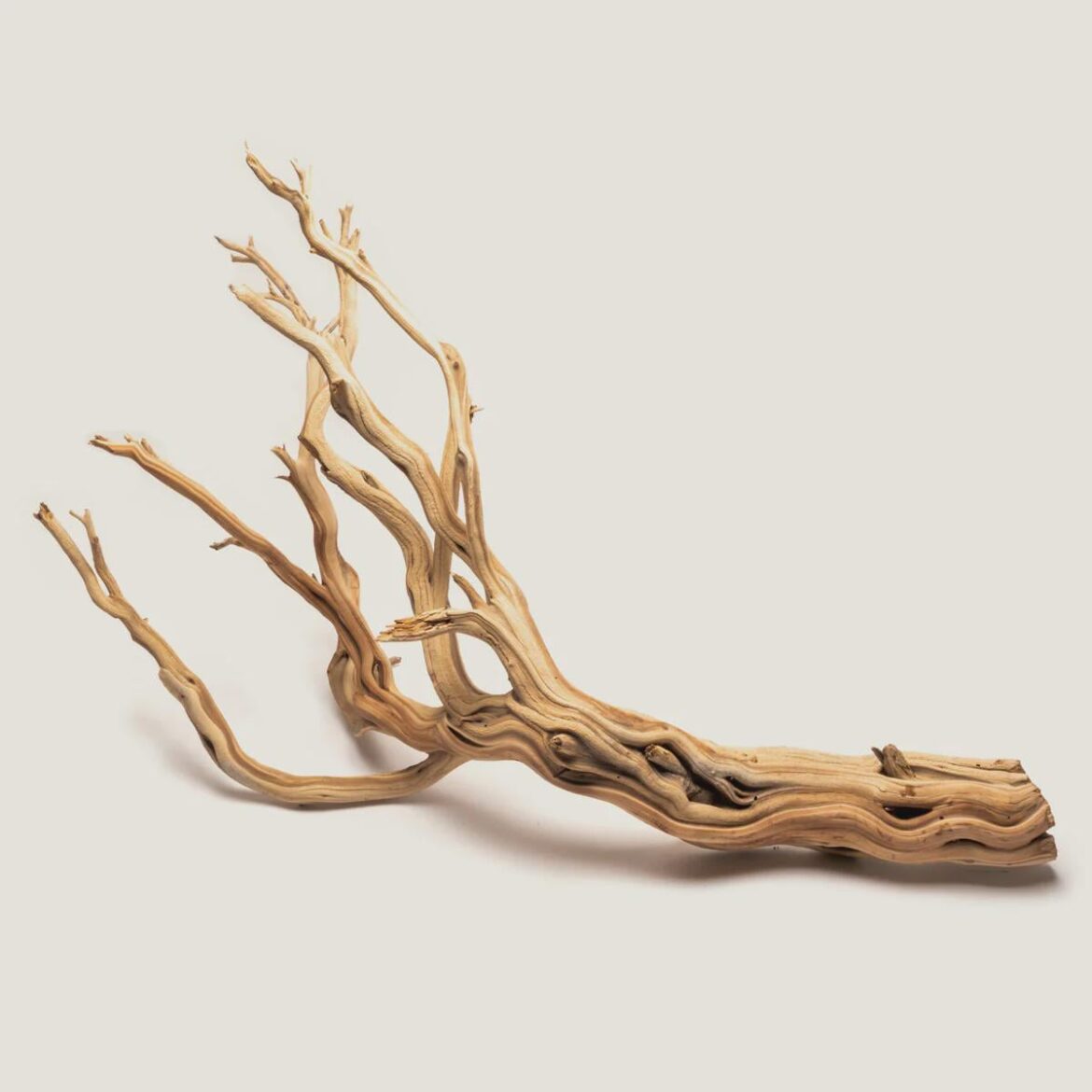 Where do you all source your ghost wood?