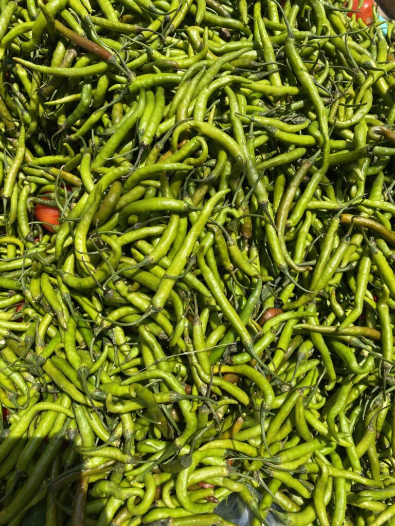 The dopamine hit of seeing your garden finally explode with harvest >>
