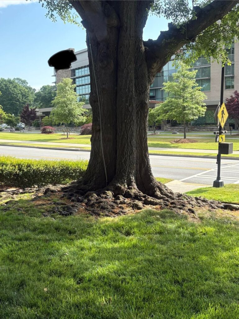 I heard you guys like Root Flare around here. Enjoy!