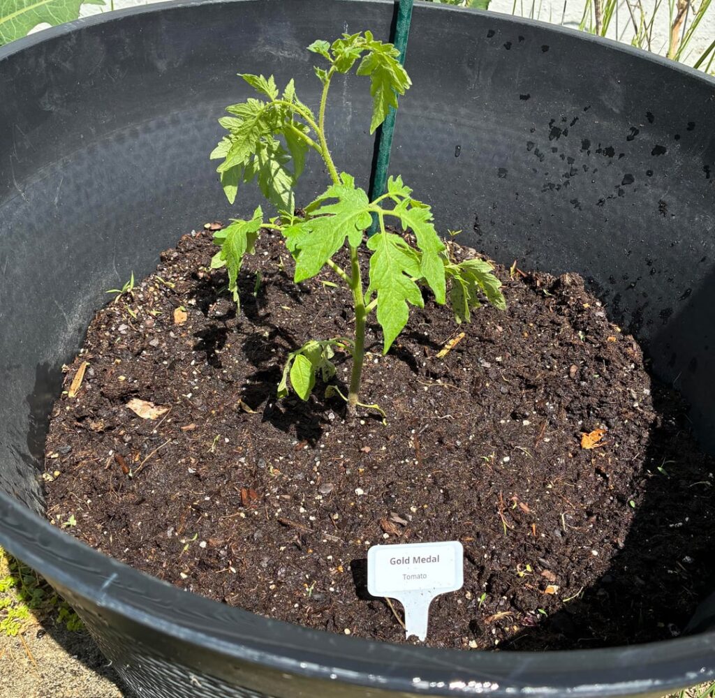 Anyone have experience with these varieties?
