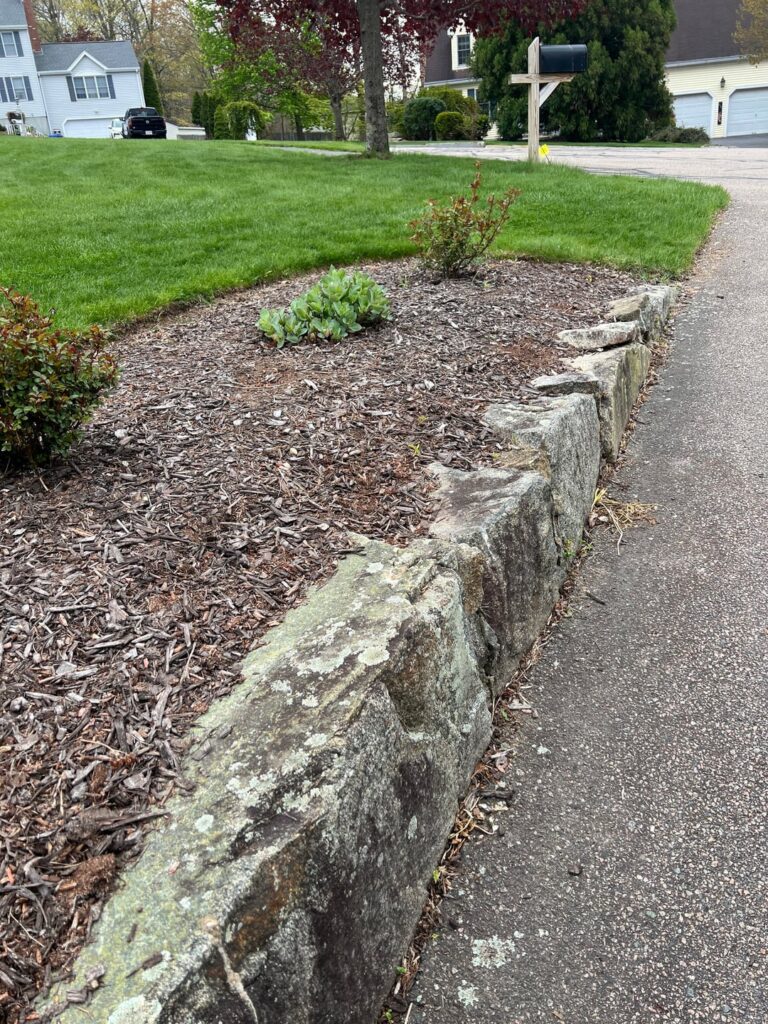 What can I do to improve the look of these stone retaining walls