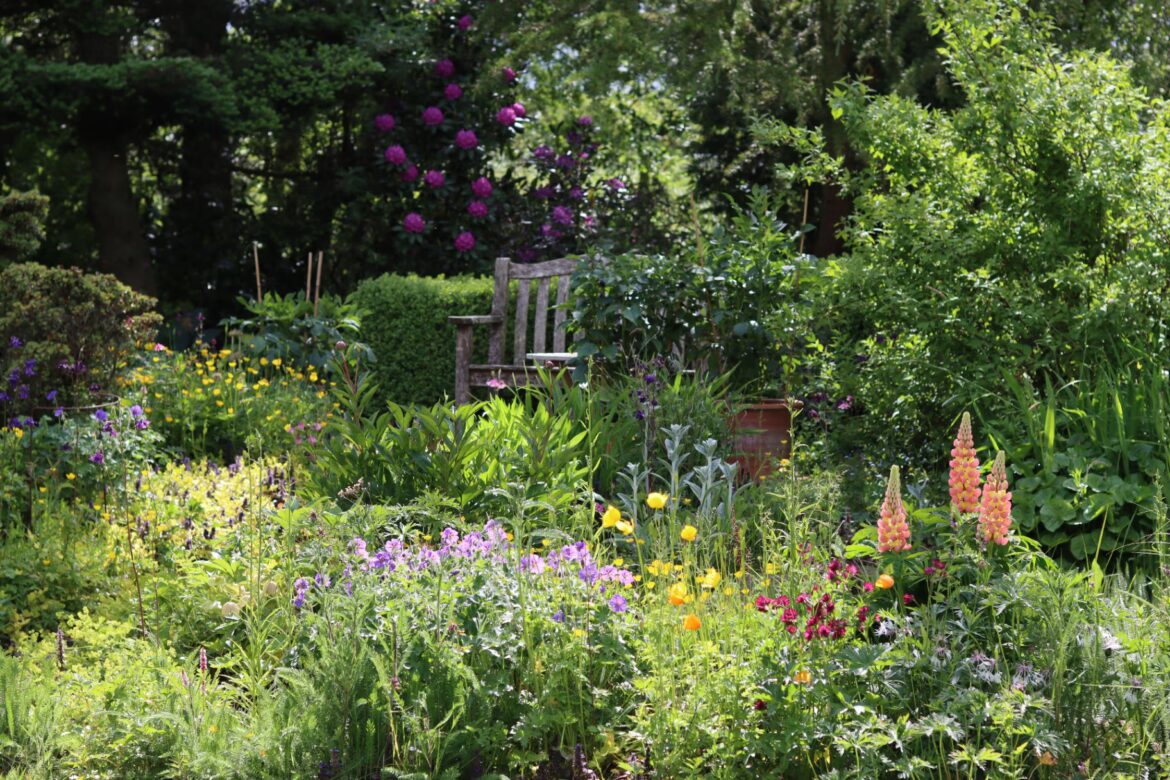 The seeds expert gardeners always sow in May Colourful flower beds in a garden in spring