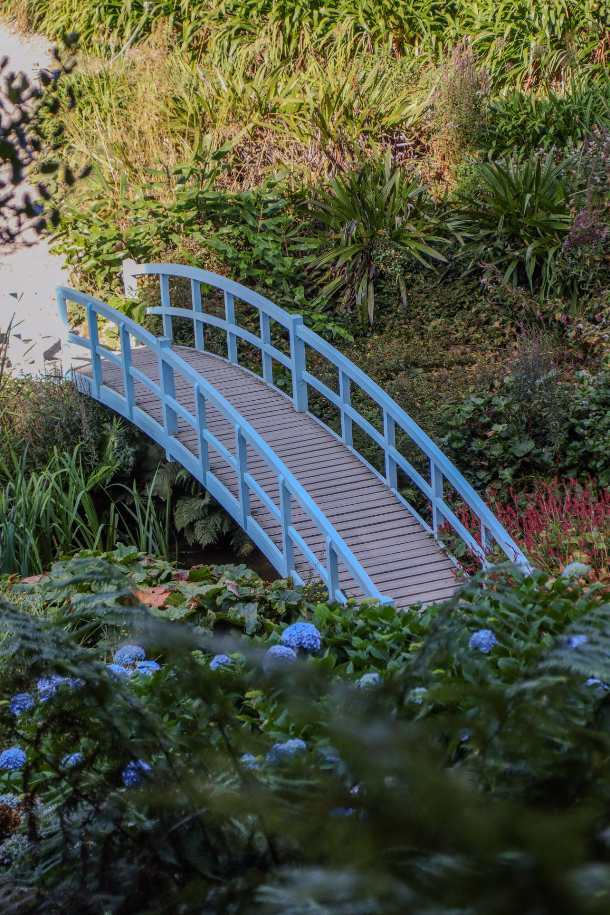 Beautiful bridge at Trebah gardens Cornwall