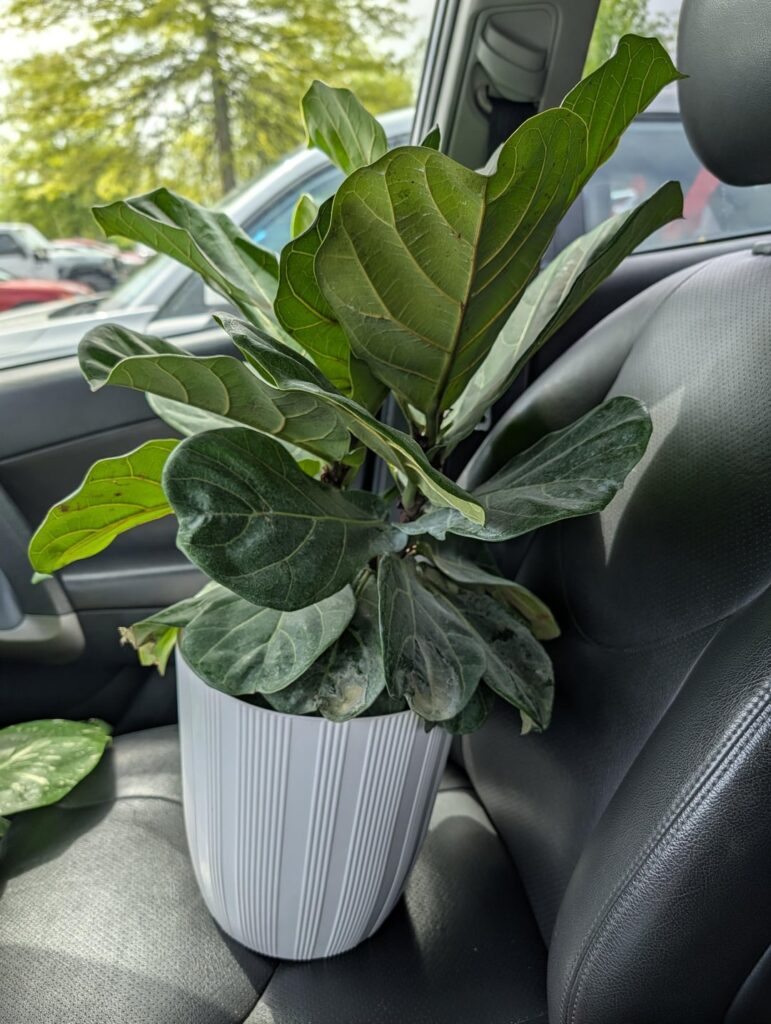 I just bought this from home Depot first time owner help me