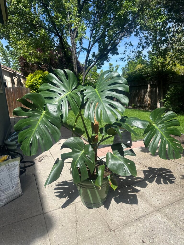 My girl is getting big
