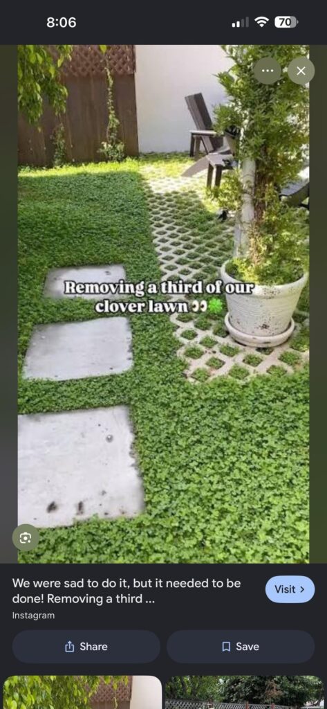 Turfstone alternatives? Turfstone alternatives?