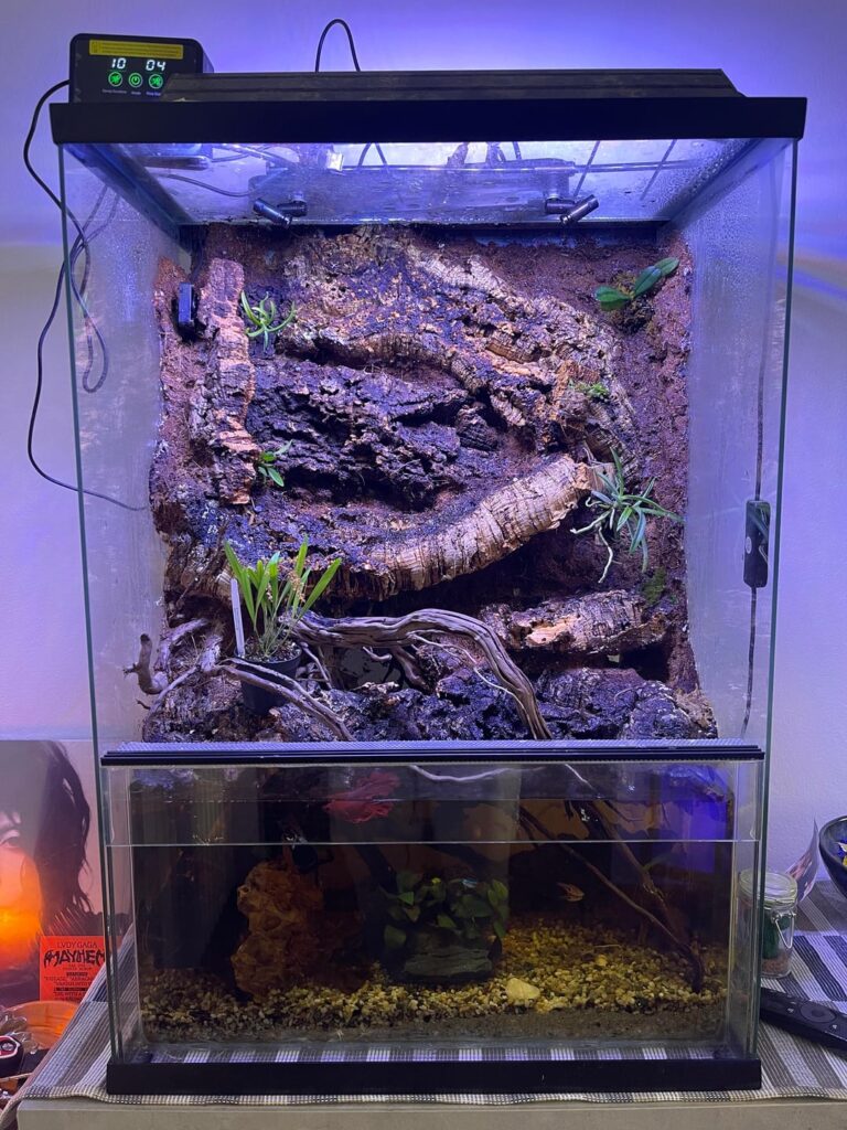 First time posting, my first paludarium First time posting, my first paludarium