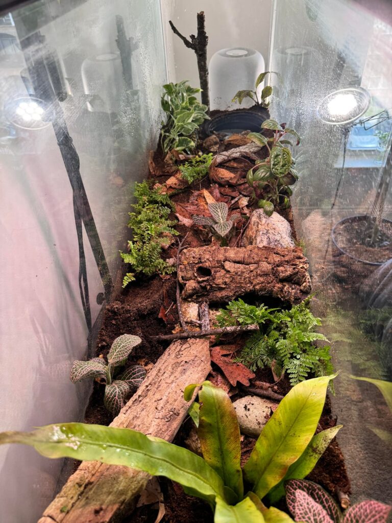 Water feature ideas?