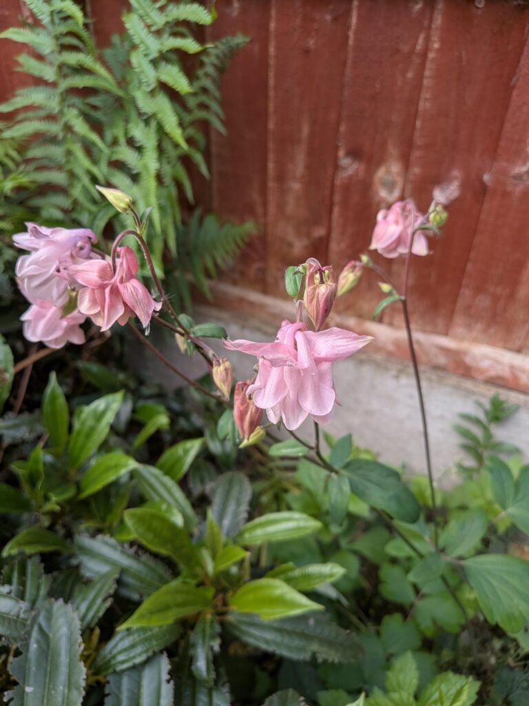 Identify please