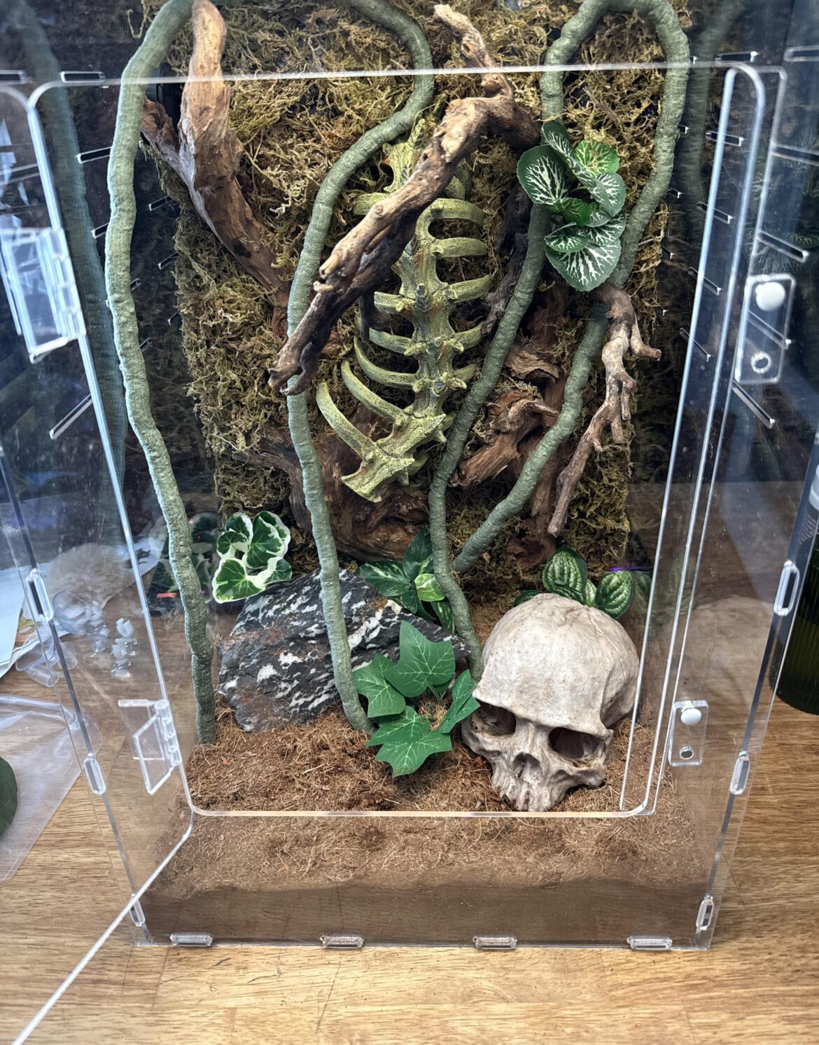 Just finished this tarantula enclosure that I built for my partner for Mother’s Day.