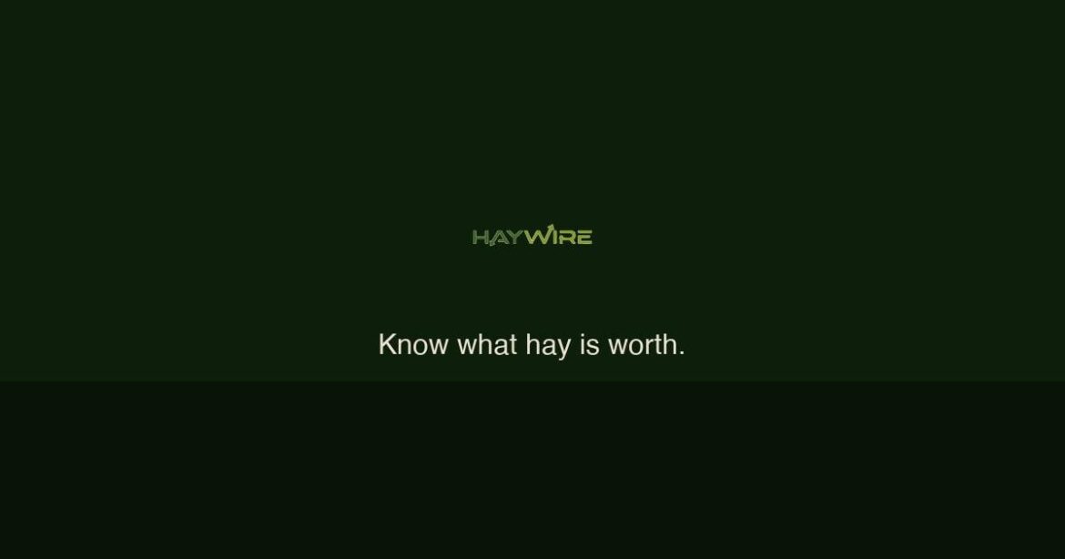 BREAKING: Hay prices explode to $483/ton as western buyers panic buy BREAKING: Hay prices explode to $483/ton as western buyers panic buy