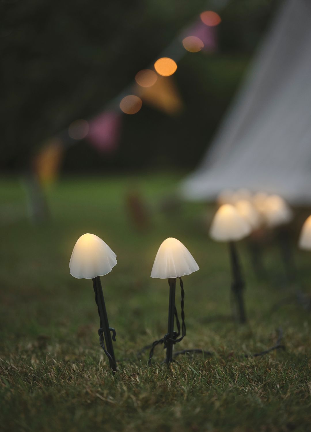 picture of mushroom shaped lights planted in the ground