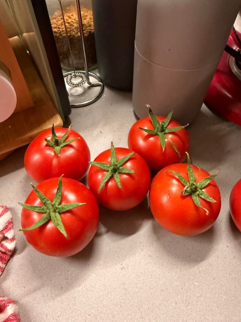 My first little harvest