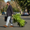 6 1/2 Reasons 'Between Two Ferns: The Movie' Defies The Sketch-Into-Movie Curse