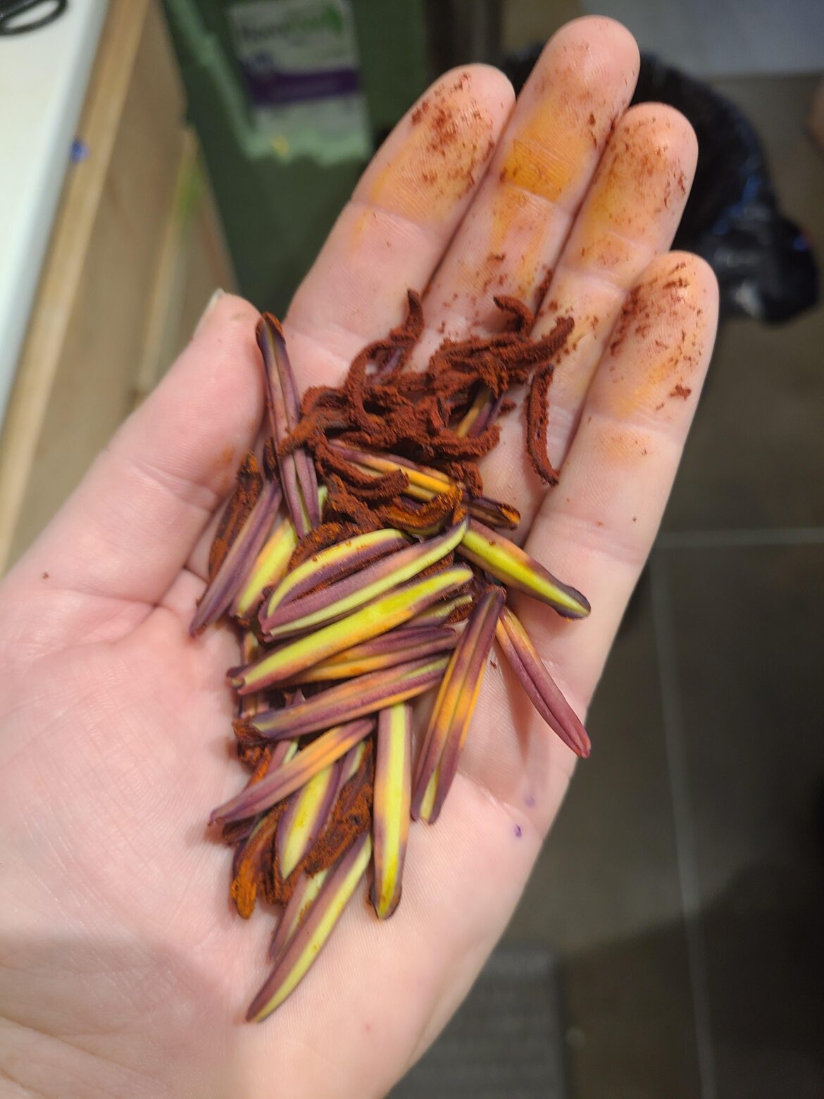 These things are a bit messy, but they're my cats' favorite snack