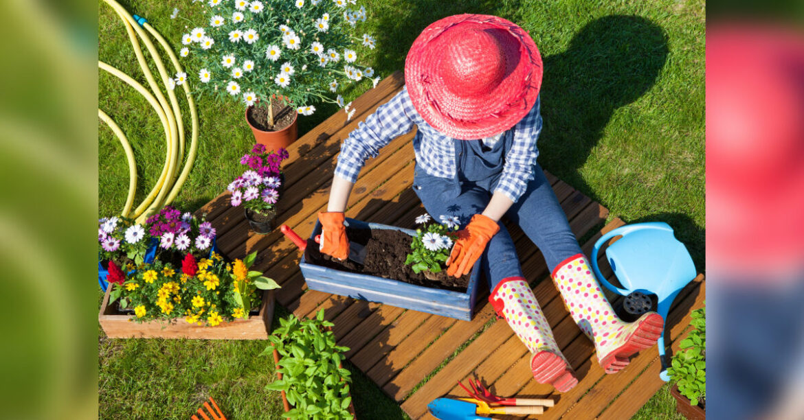 Ask an Expert – May gardening checklist
