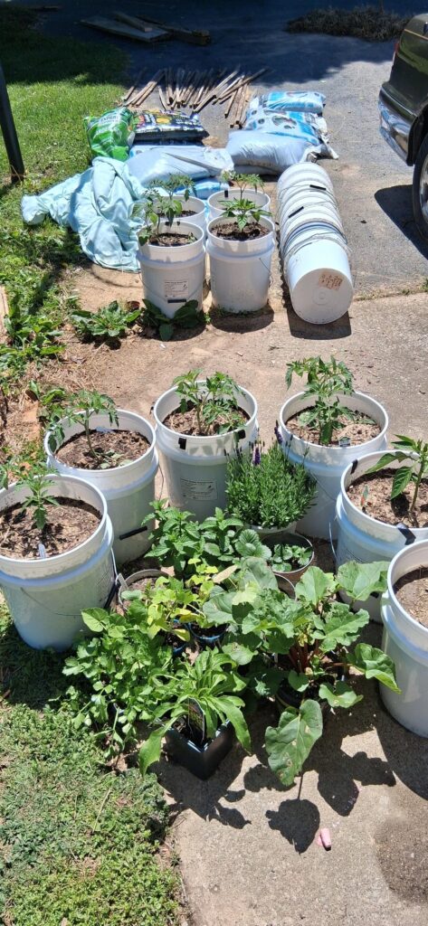 First Big Garden