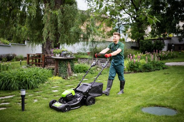 Professional gardener mows the lawn with a mower. Professional gardener mows the lawn with a mower.