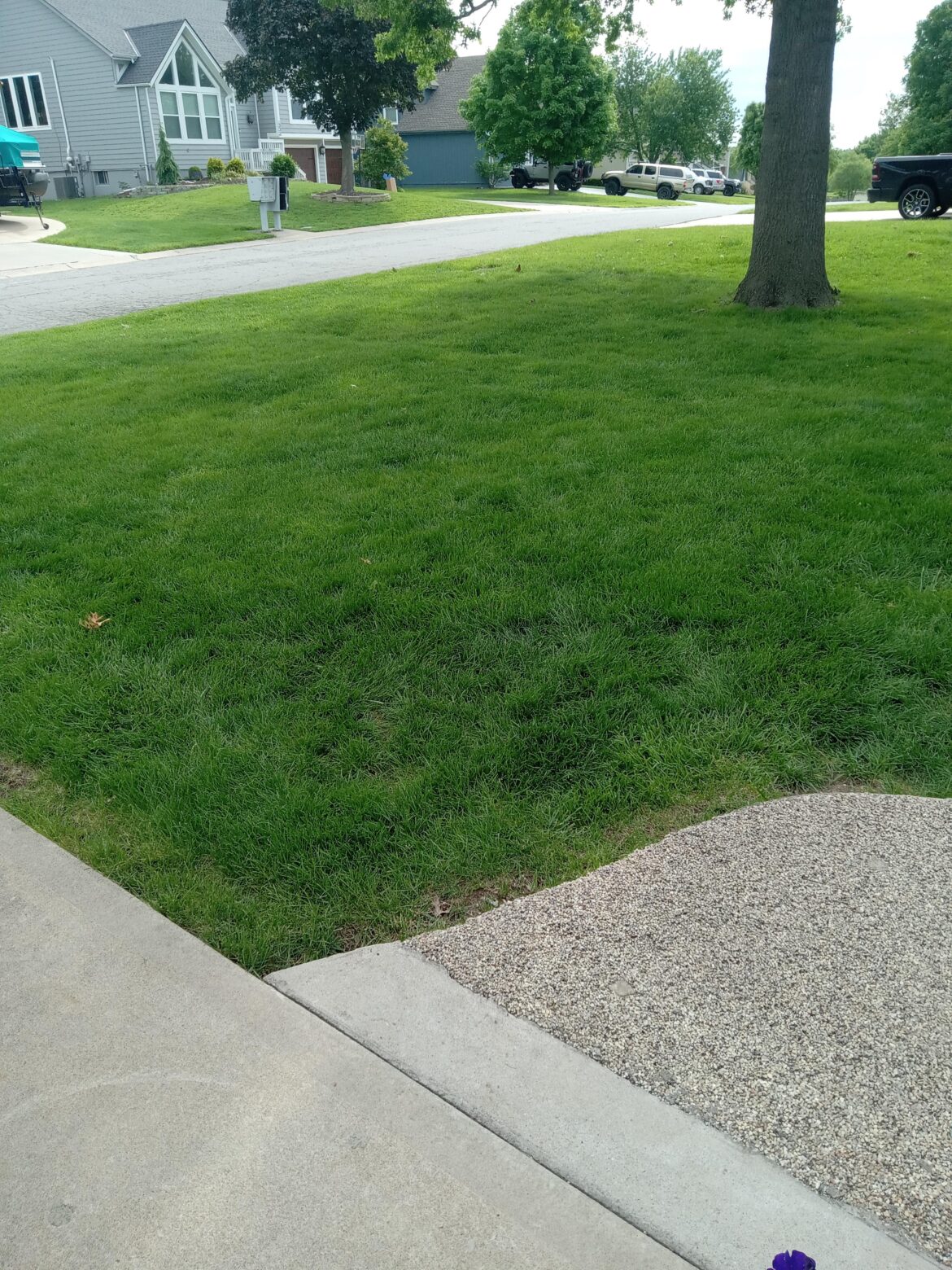Lawn Leveling Advice Lawn Leveling Advice