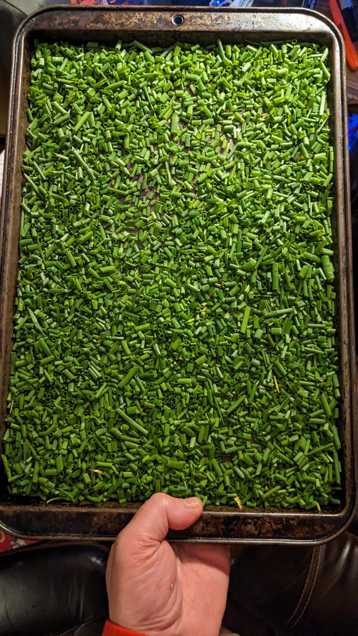 How many chives do you need???