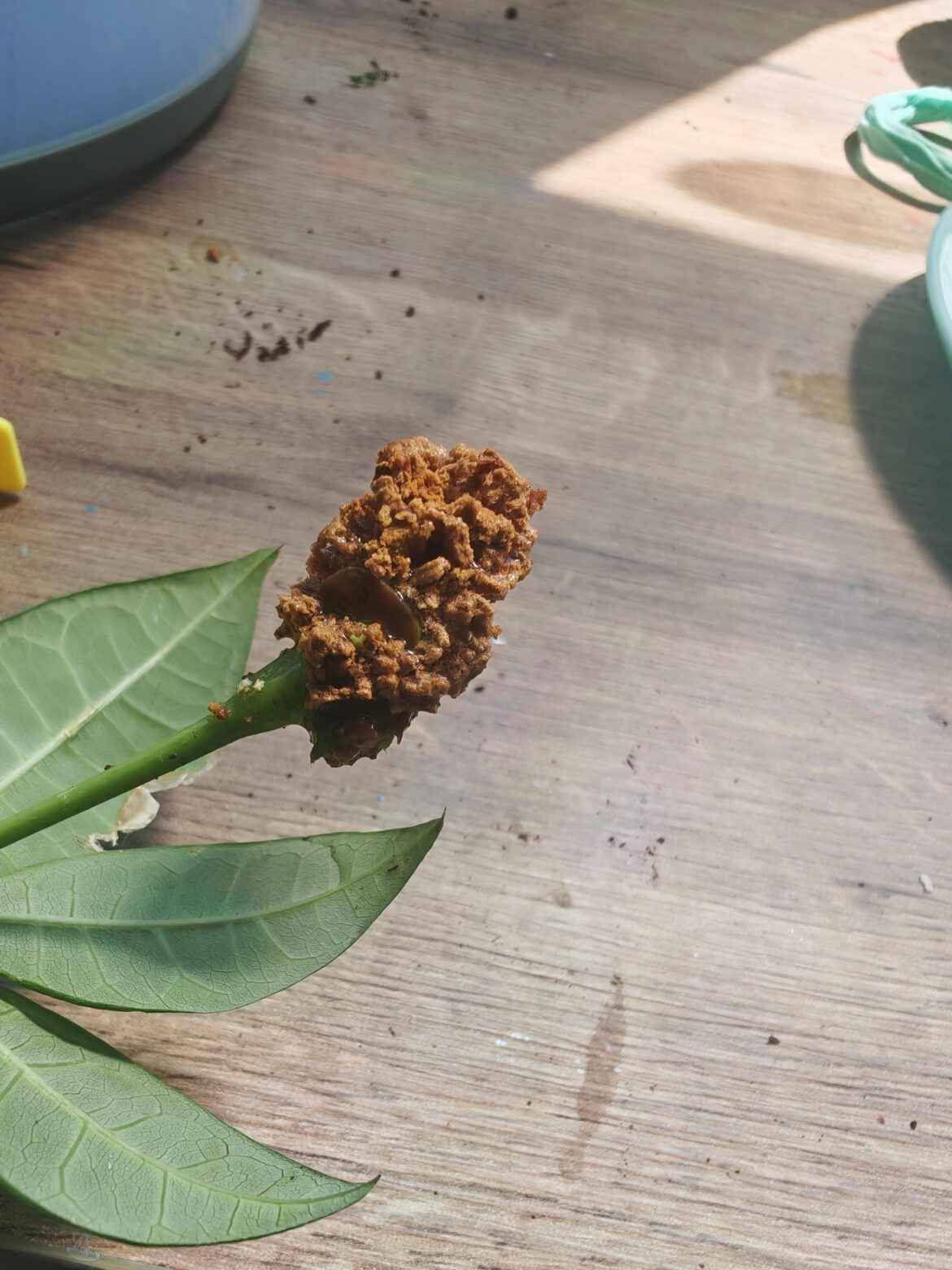 Money tree node been in water for ~ 2 months. Is anything happening?