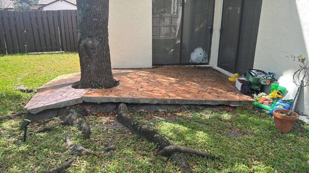 Need advice for backyard of home