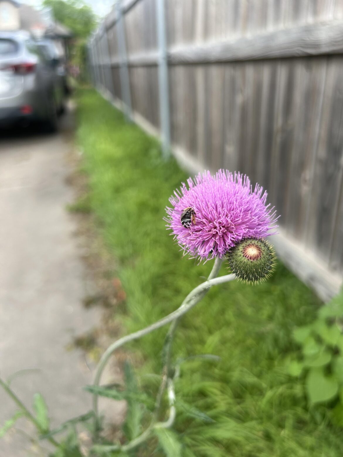 What is this?