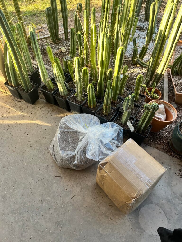 Trying a new pumice source, 12gal shipped for $117.