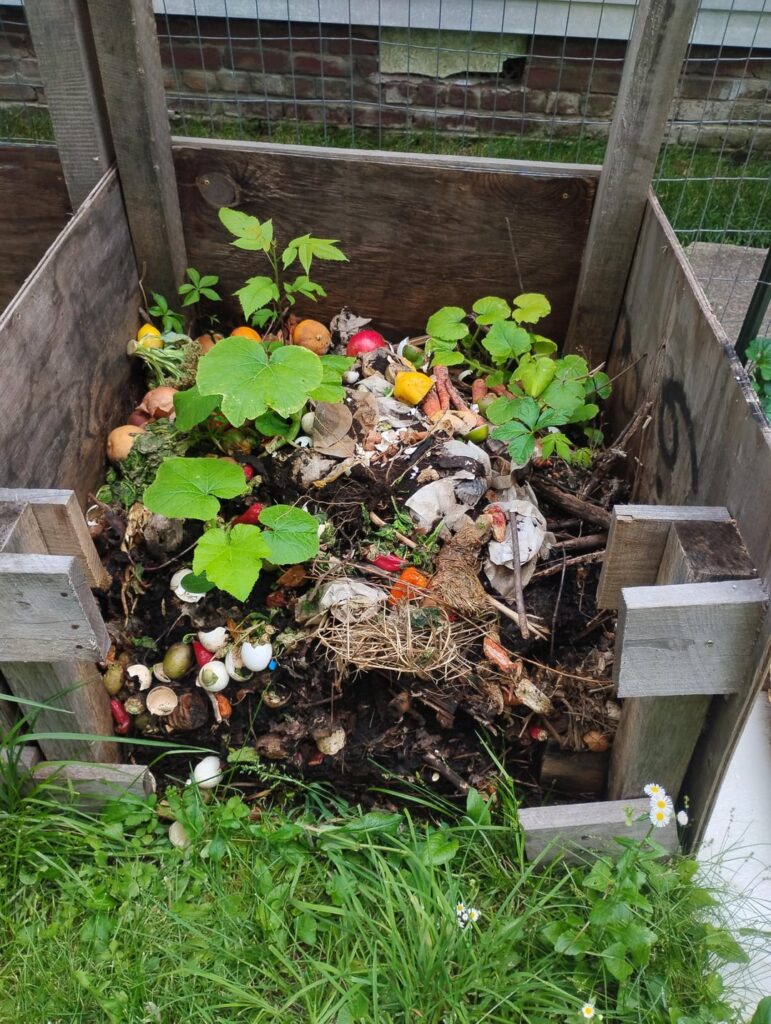 Compost too wet? When is it ready? Compost too wet? When is it ready?