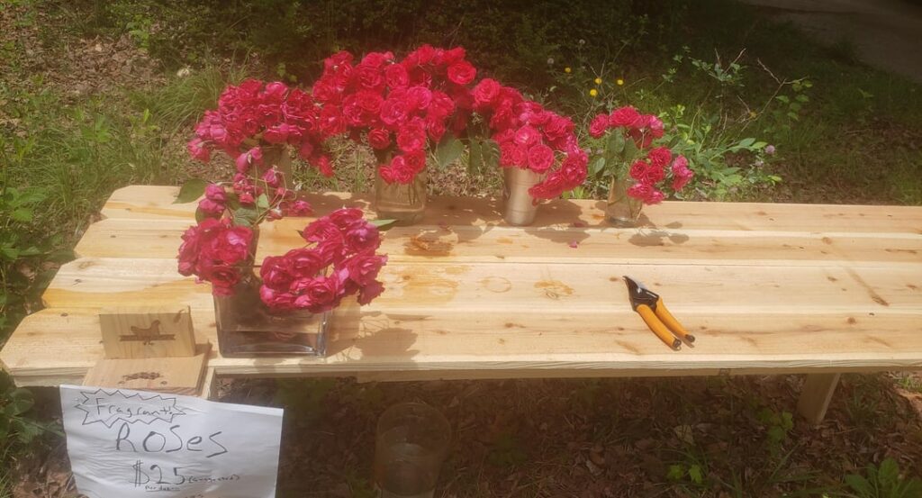 Nobody bought any roses from my humble farm stand. They smell much sweeter after dried to a crisp. Any advice? Nobody bought any roses from my humble farm stand. They smell much sweeter after dried to a crisp. Any advice?