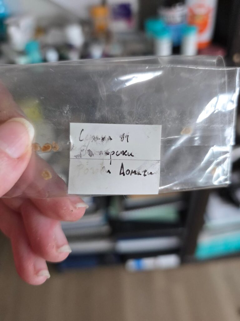 Sprouting 15+ year old seeds
