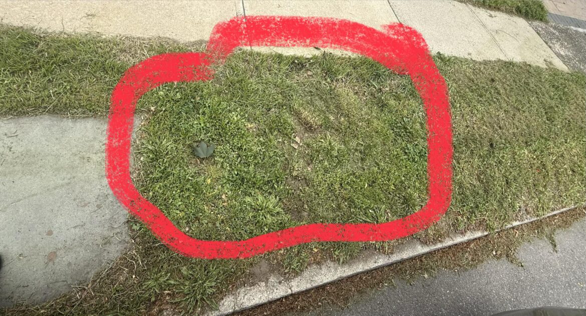 How do I even out grass strip? How do I even out grass strip?