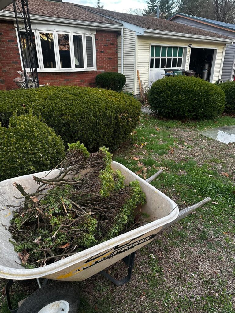 Getting rid of invasive/non-native species Getting rid of invasive/non-native species
