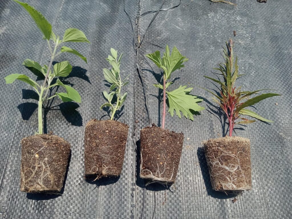 Outdoor propagation Outdoor propagation