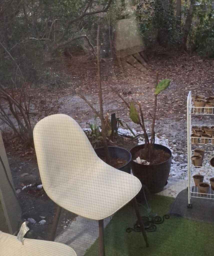 Feb 13 2026 (post freeze) versus May 10 2026