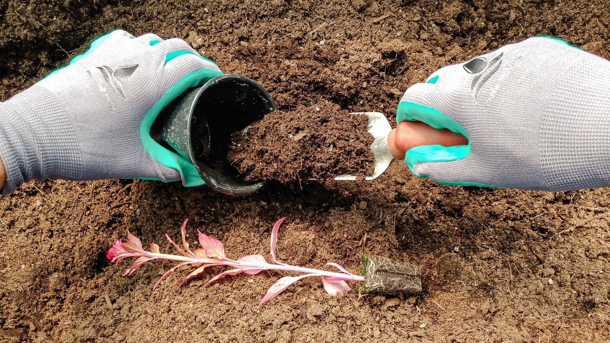 Best gardening gloves: