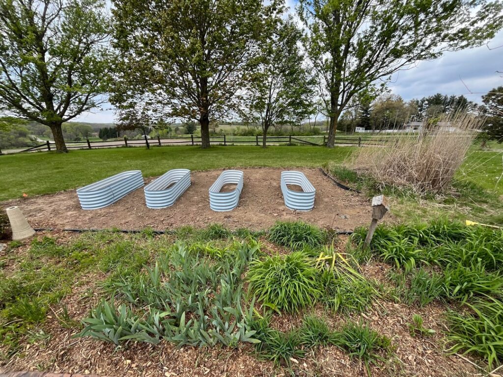 What ground cover should I use for this area of my raised bed garden area? What ground cover should I use for this area of my raised bed garden area?