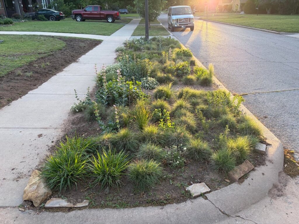 Hellstrip Update - One Year Later