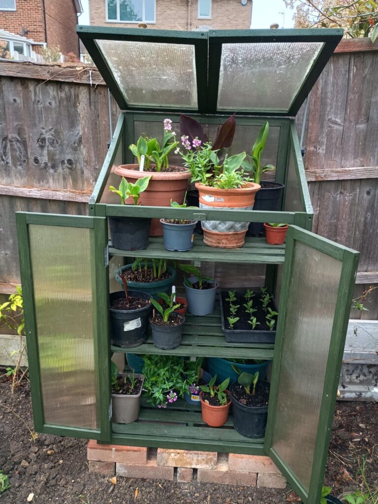 Mini Greenhouse