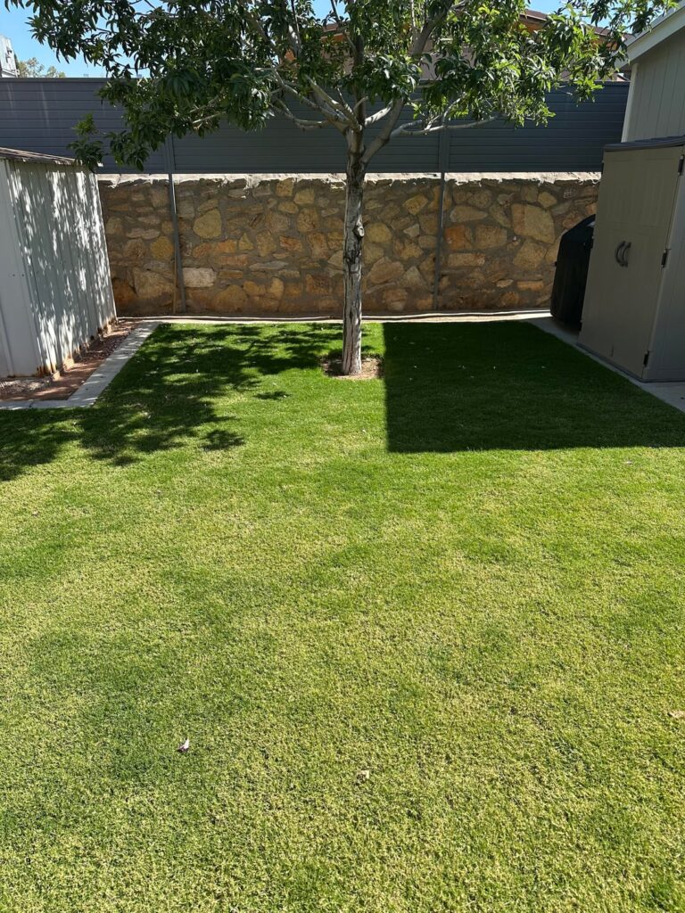Why greener in shaded area?