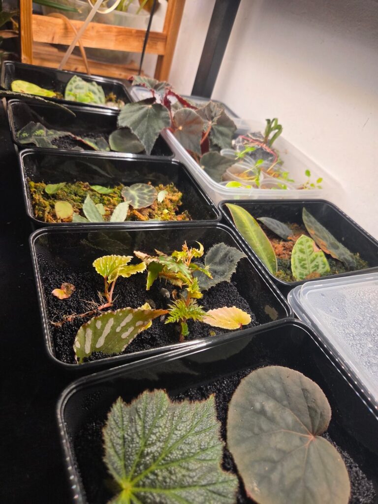 I love propagation!!!