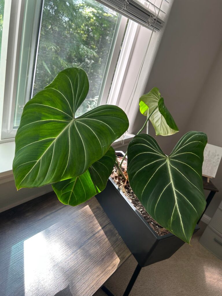 Looking for ideas
