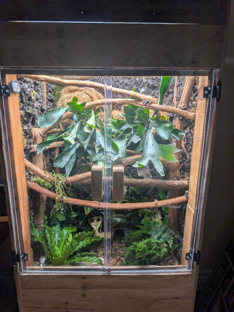 Finally wrapping up this build after 3 months. Future home of tree frogs.