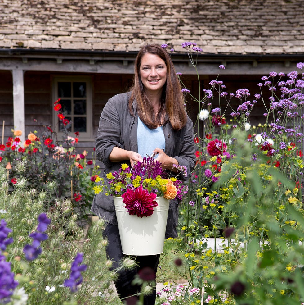 cutting garden pick picking cut tall annuals rachel holding cream enamel bucket filled with flowers like bupleurum rotundifolium dahlia hillcrest royal cleome standing in border of purple clary sage black cornflowers centaurea cyanus in foreground verbena bonarensis in background foliage plants 040814 04082014 040814 04082014 8 8th 2014 august summer rachel de thame photographer sarah cuttle making a cutting garden cut flowers practical arranging arrangement of bouquet cutting garden pick picking cut tall annuals rachel holding cream enamel bucket filled with flowers like bupleurum rotundifolium dahlia hillcrest royal cleome standing in border of purple clary sage black cornflowers centaurea cyanus in foreground verbena bonarensis in background foliage plants 040814 04082014 040814 04082014 8 8th 2014 august summer rachel de thame photographer sarah cuttle making a cutting garden cut flowers practical arranging arrangement of bouquet