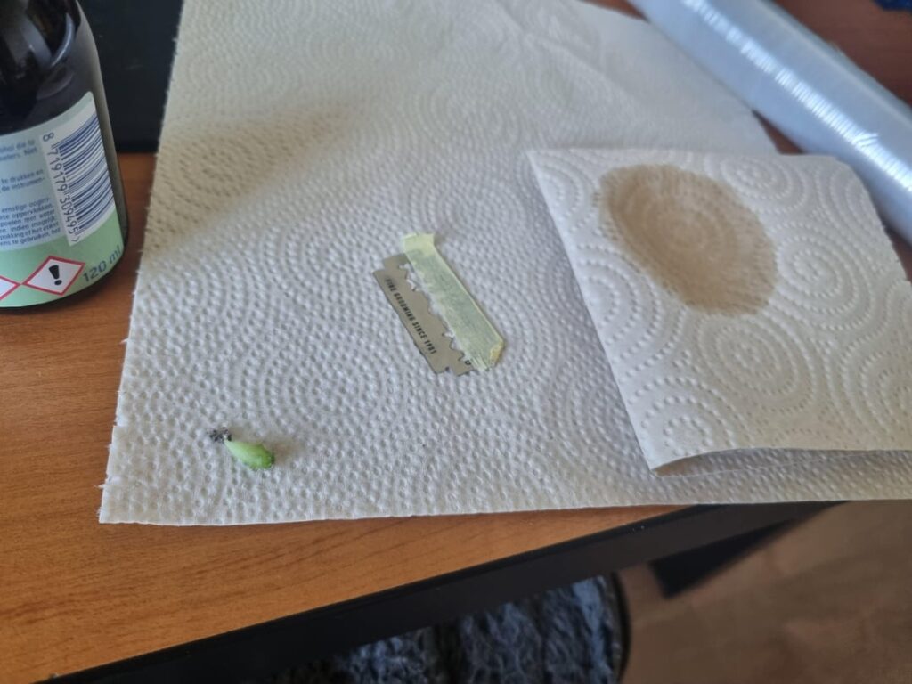 Lazy Mans Cacti Hydroponics