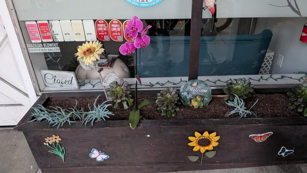 Found this orchid in front of a salon