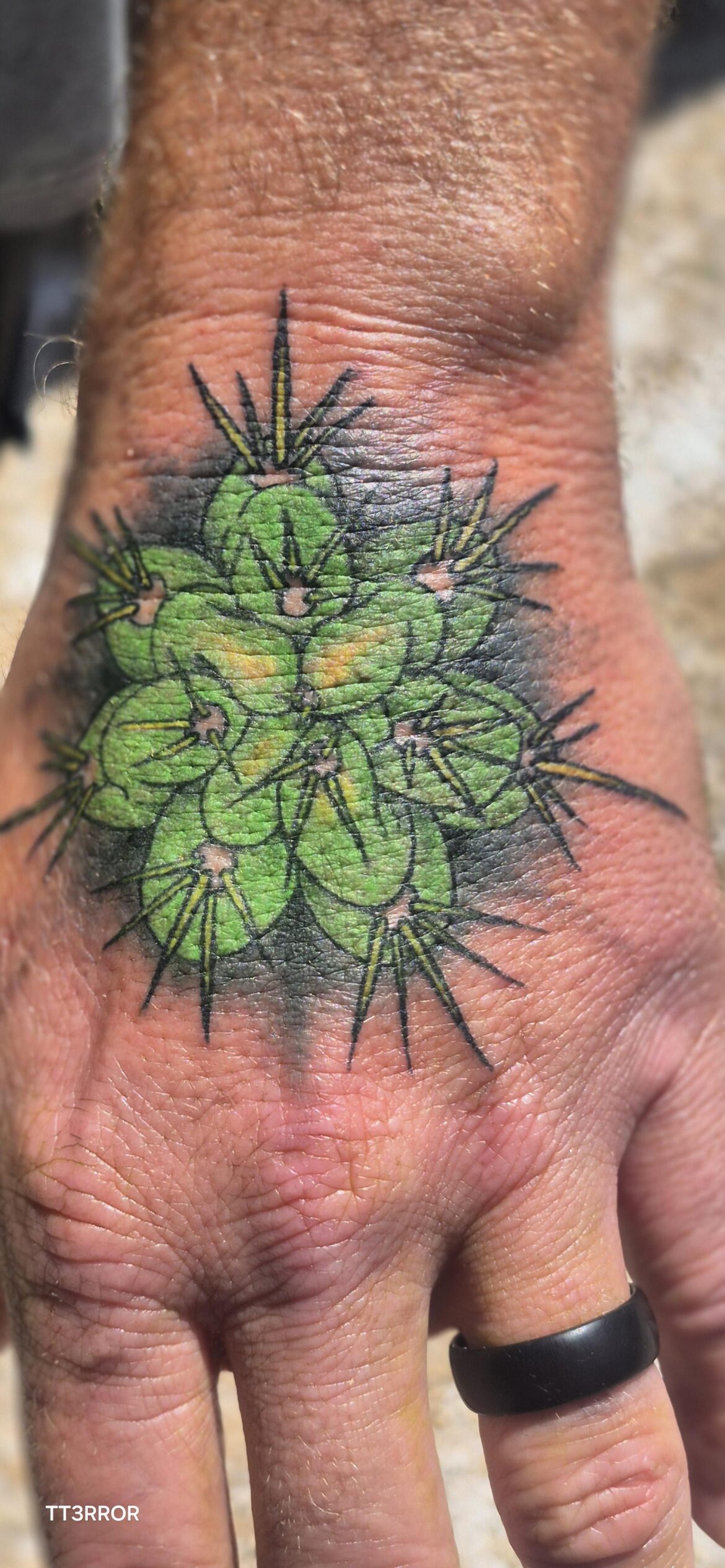 🌵💚