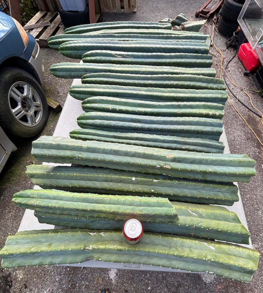 That one friend that offers you a few cuts