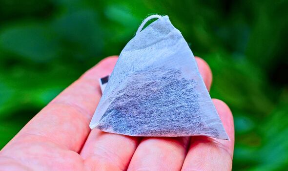 Picture of a teabag in a garden Picture of a teabag in a garden